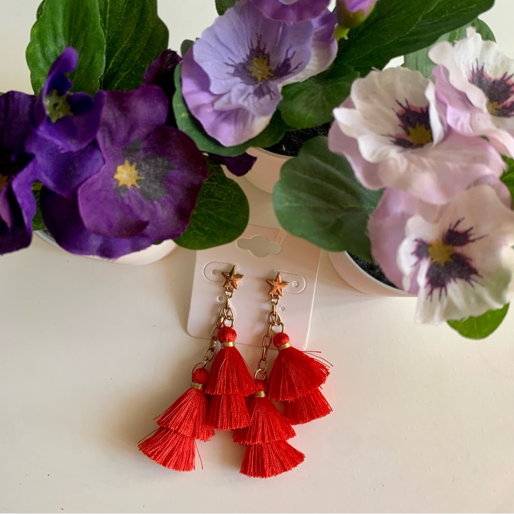 Star Fringe Earrings ✨